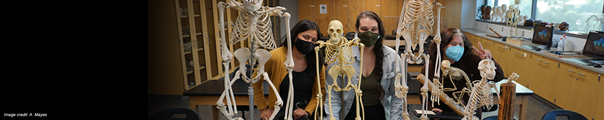 students and faculty in bio anthropology lab with skeletons