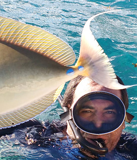 diver holds fish out of water